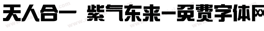 天人合一 紫气东来字体转换